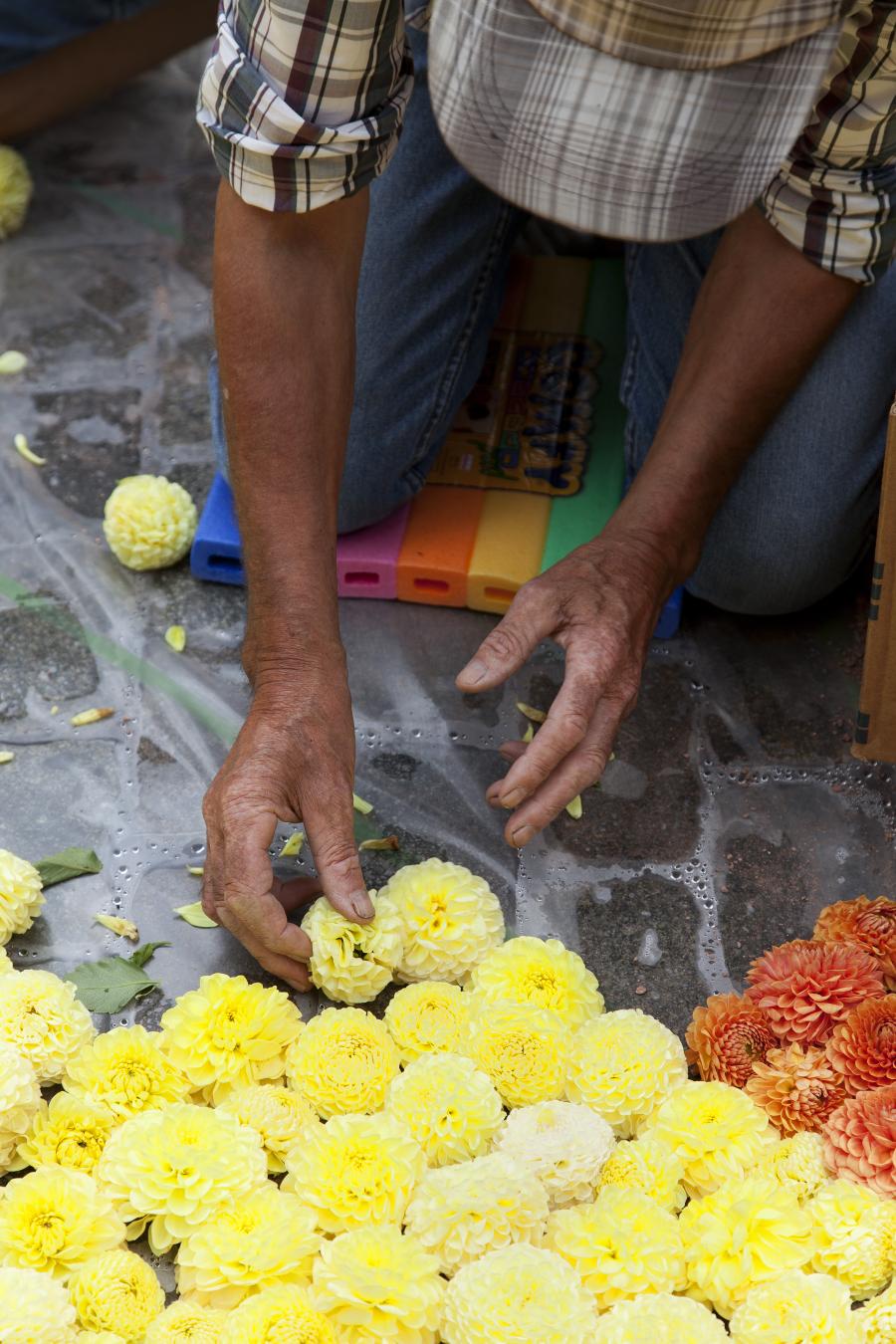 flower carpet 2012